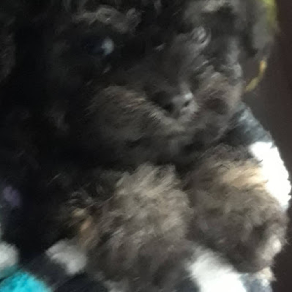 Meet your Posher, Katie